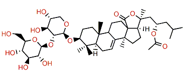 Stichoposide B